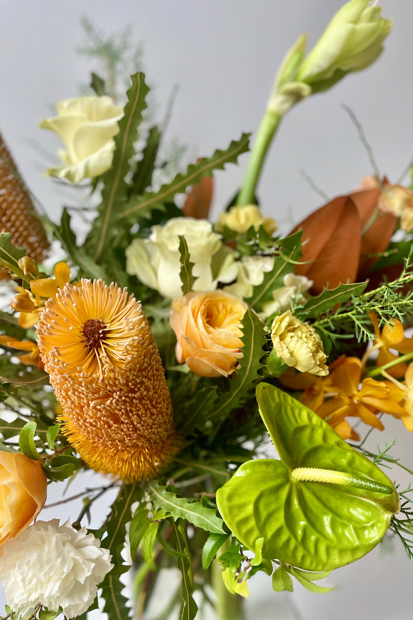 Close photo of fresh flowers in front of a white wall including Banksia, Roses, Anthurium and Amaryllis from Sprout Home Floral in Chicago ©Sprout Home #size_$200 