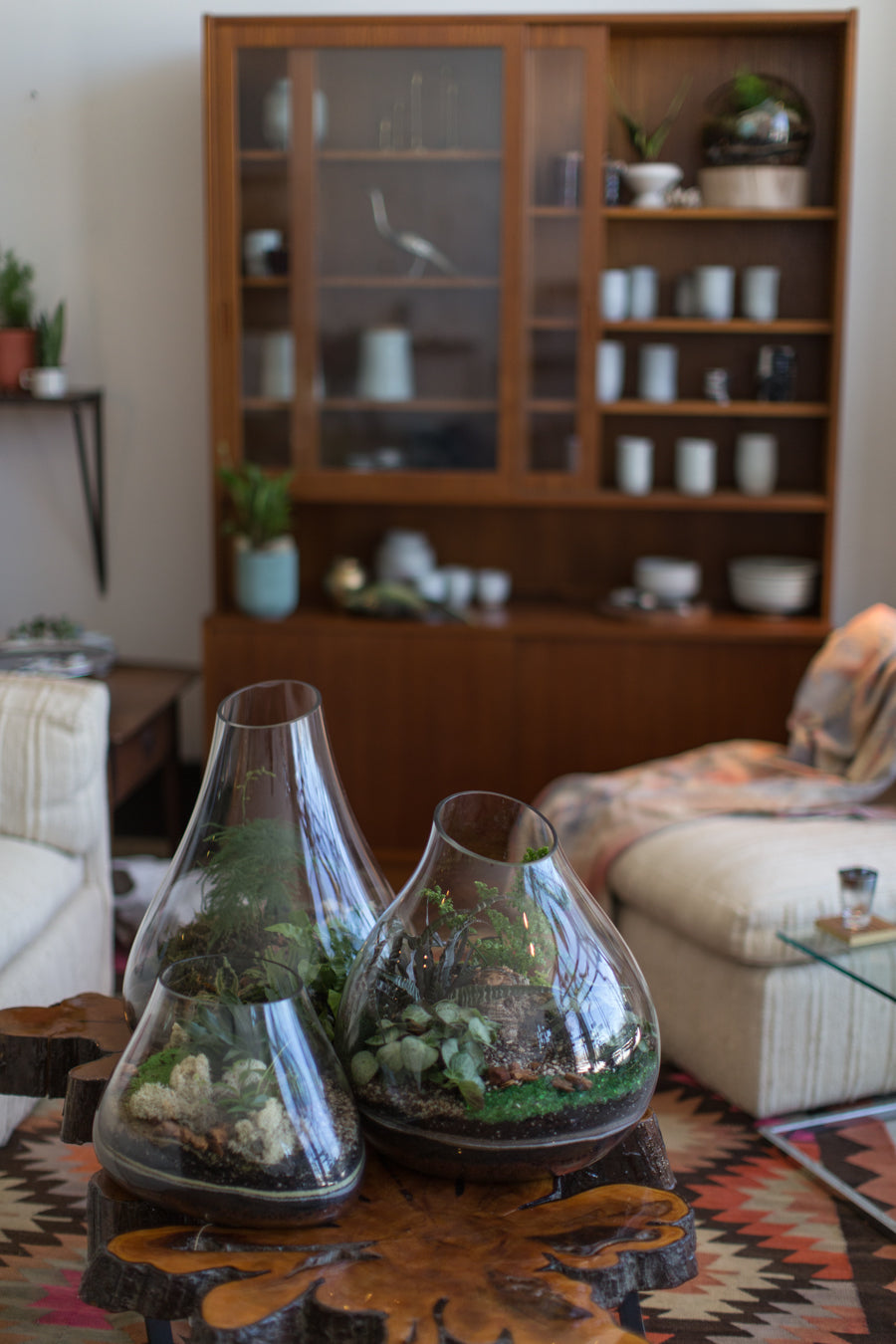 Trio of Terrariums on a coffee table. in a living room by Sprout Home