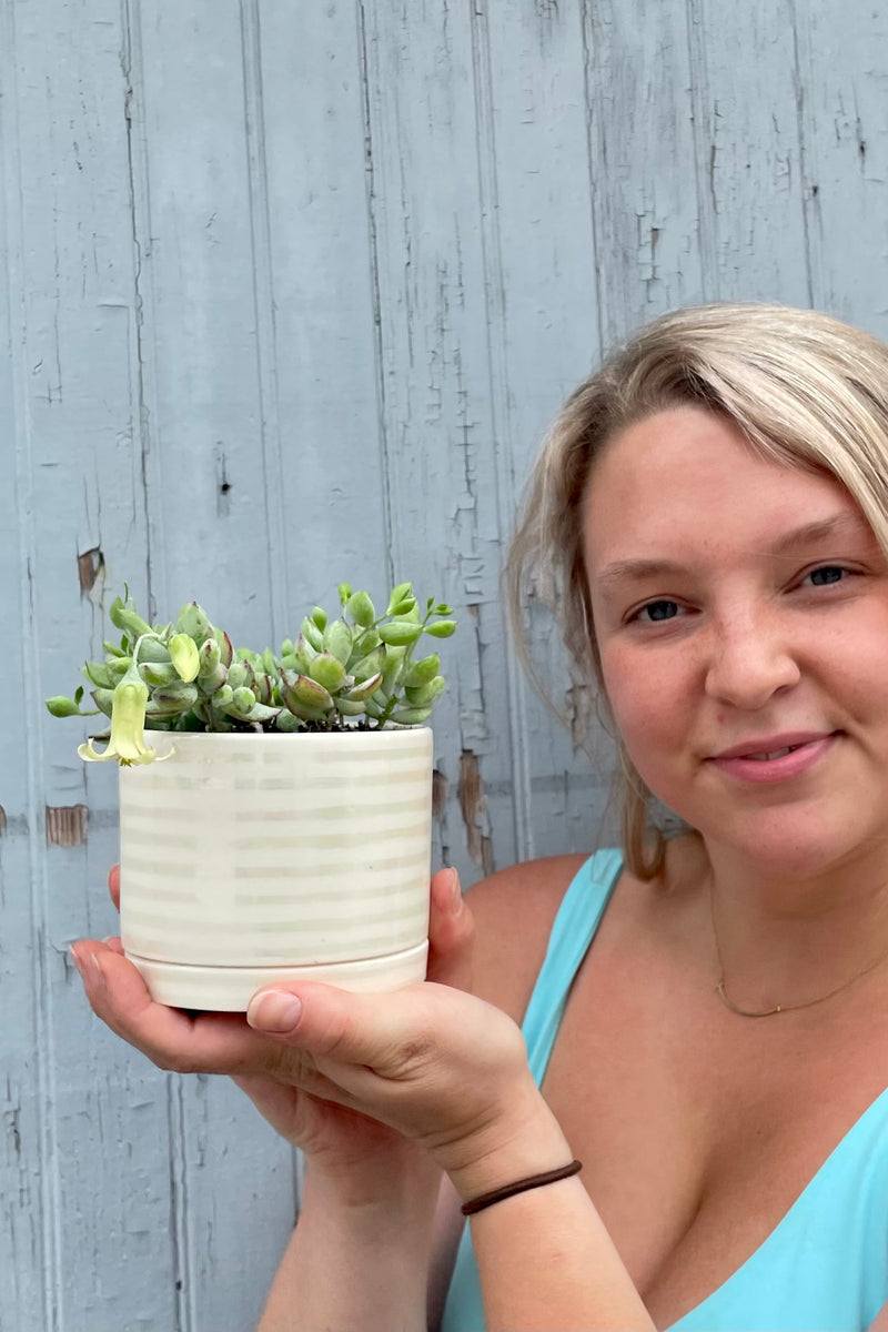 Sprout Home staff member Randi holding the Tinker Bell planting