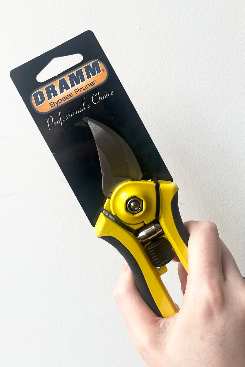 A hand holds Colorpoint Bypass Pruner against white backdrop