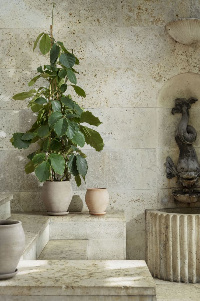 A potted plant on a stone ledge with terracotta pottery ©Bergs Potter