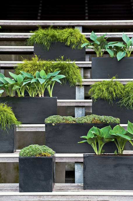 A row of black rectangular planters with lush green plants outdoors ©Pottery Pots