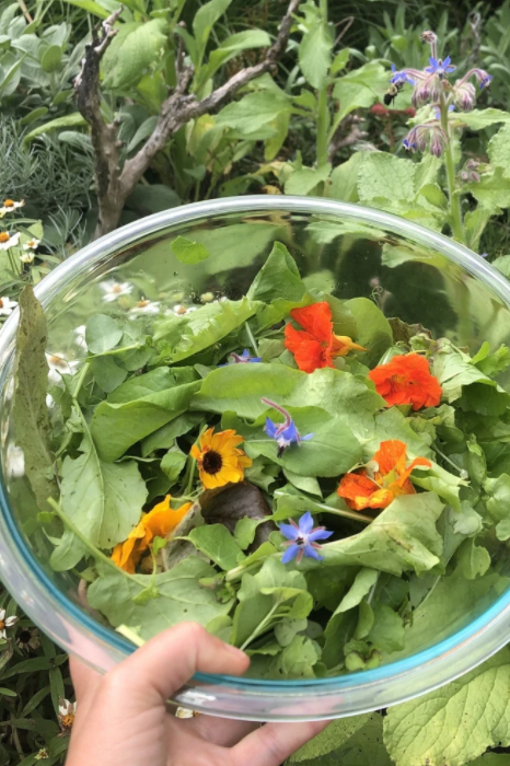 Various edible flowers in a bowl by Hudson Valley Seed Co