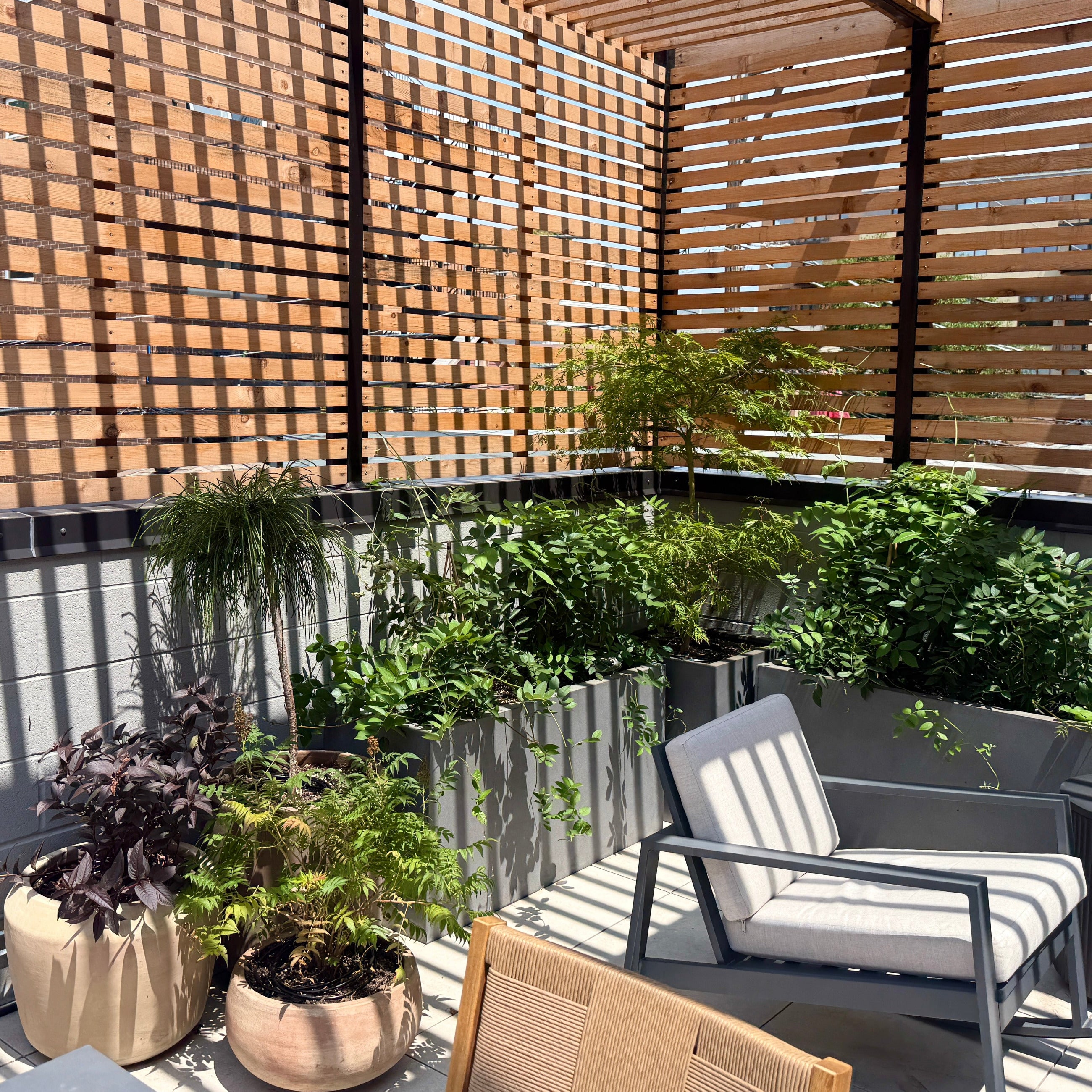 A modern outdoor patio corner with a gray lounge chair, potted plants, and a wooden slat privacy screen in the background garden container design by Sprout Home ©Sprout Home