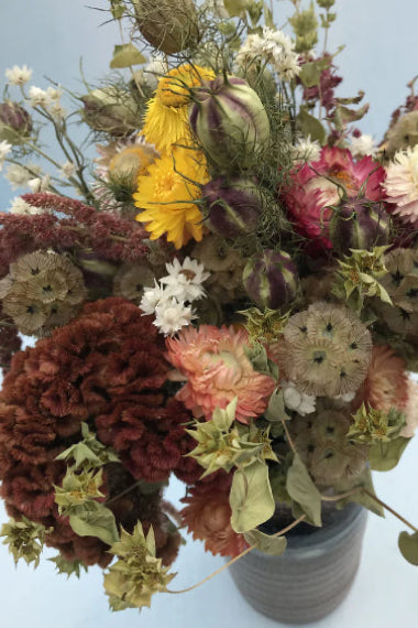 Bouquet of dried flowers in a vase against a light blue background ©Hudson Valley Seed Co.
