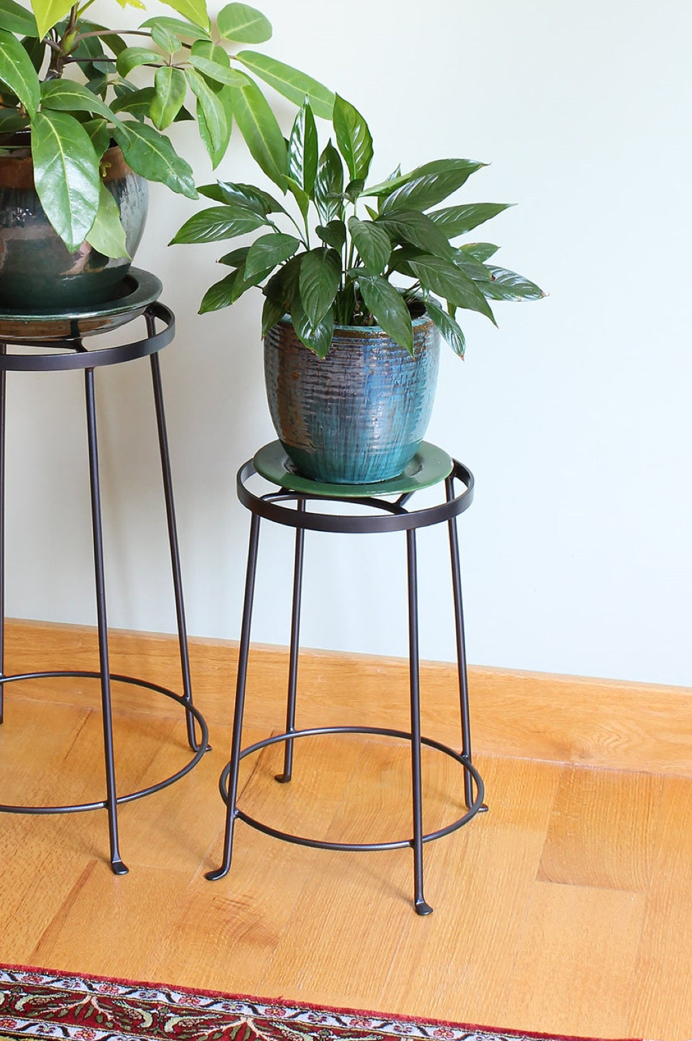Two potted plants on metal stools against a white wall. ©Achla Designs