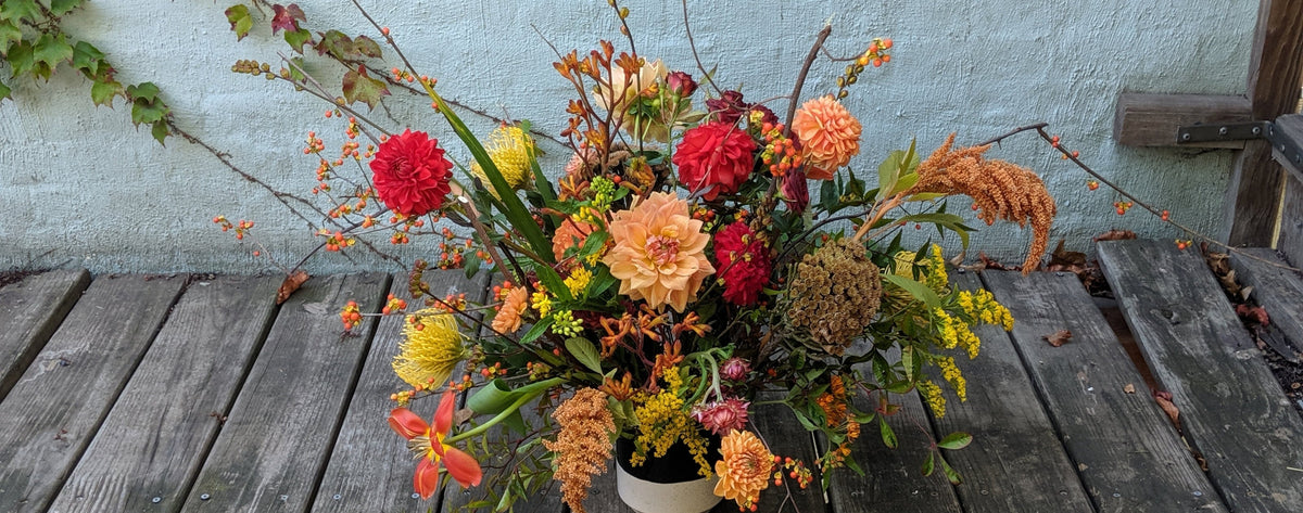 An autumnal floral arrangement in a small white vase, featuring red, orange, and yellow flowers with green foliage, displayed on a weathered wooden deck against a light blue wall ©Sprout Home