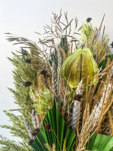 Preserved Arrangement Flora Borealis