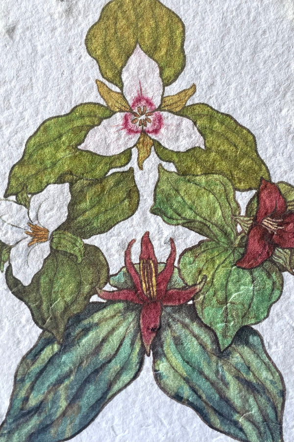 A detailed view of the design on Trillium Seeded Paper Card