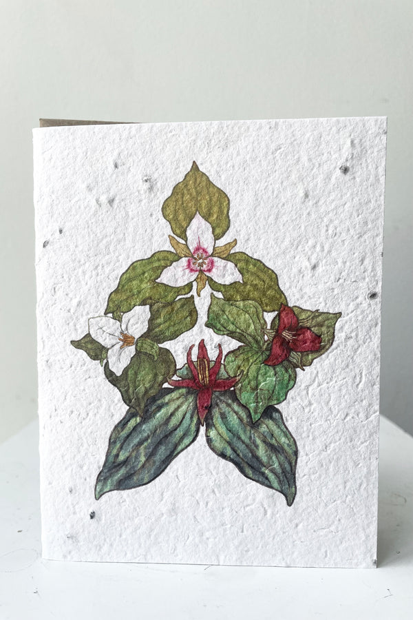 A full frontal view of Trillium Seeded Paper Card against white backdrop