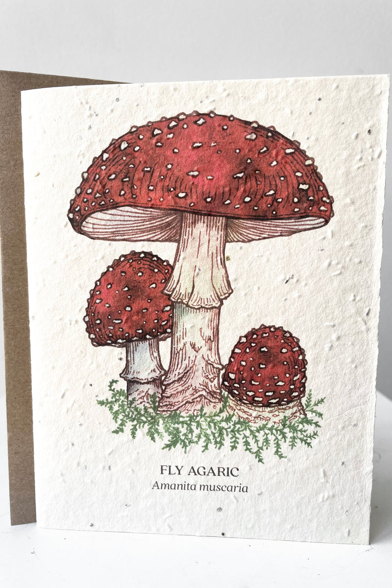A frontal view of Fly Agaric, seeded paper card with envelope against white backdrop