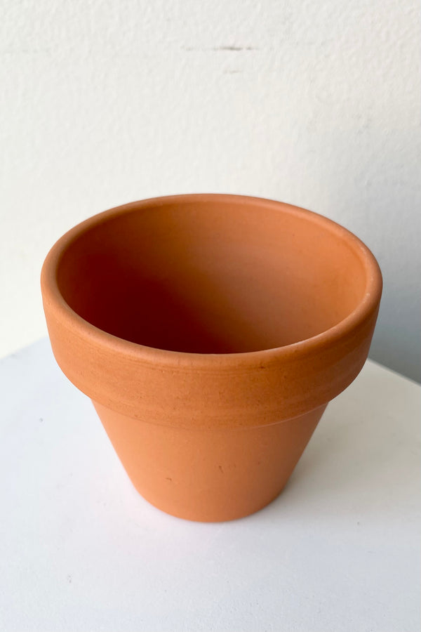 Standard red clay pot 2.8" looking from above and side