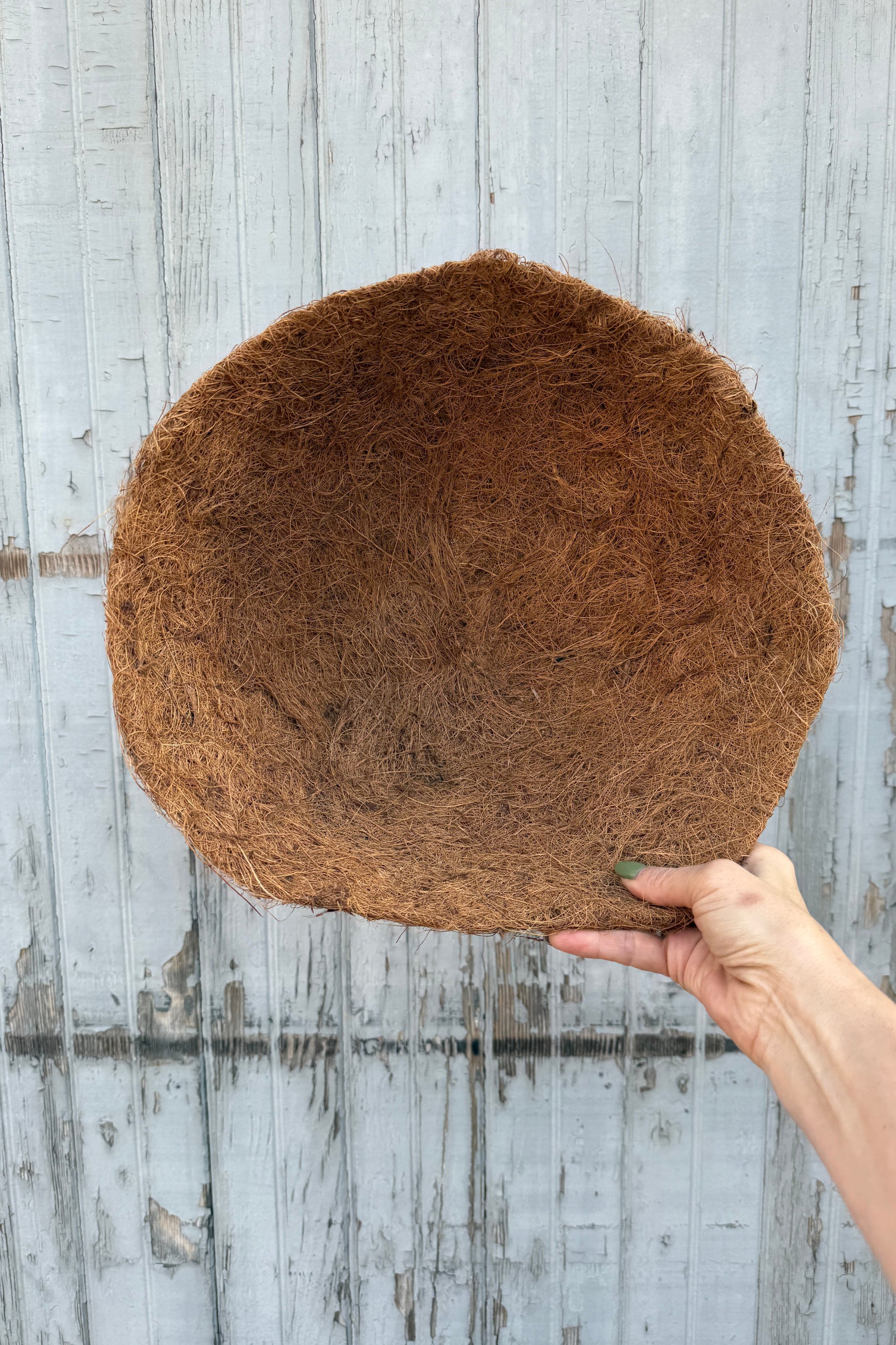 Coir coco fiber 14" bowl shape showing the inside held by a hand against a wooden background ©Sprout Home