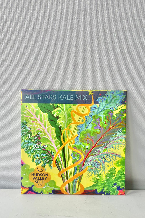 Photo of a square seed packet against a white wall. The seed packet is titled "all stars kale mix" and features a colorful drawing of various textures and colors of Kale leaves. 