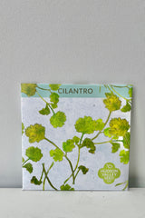 A photo of a square seed packet. The seed packet cover features the text "Cilantro" and a drawing of green cilantro leaves and stems. The photo is against a white wall.