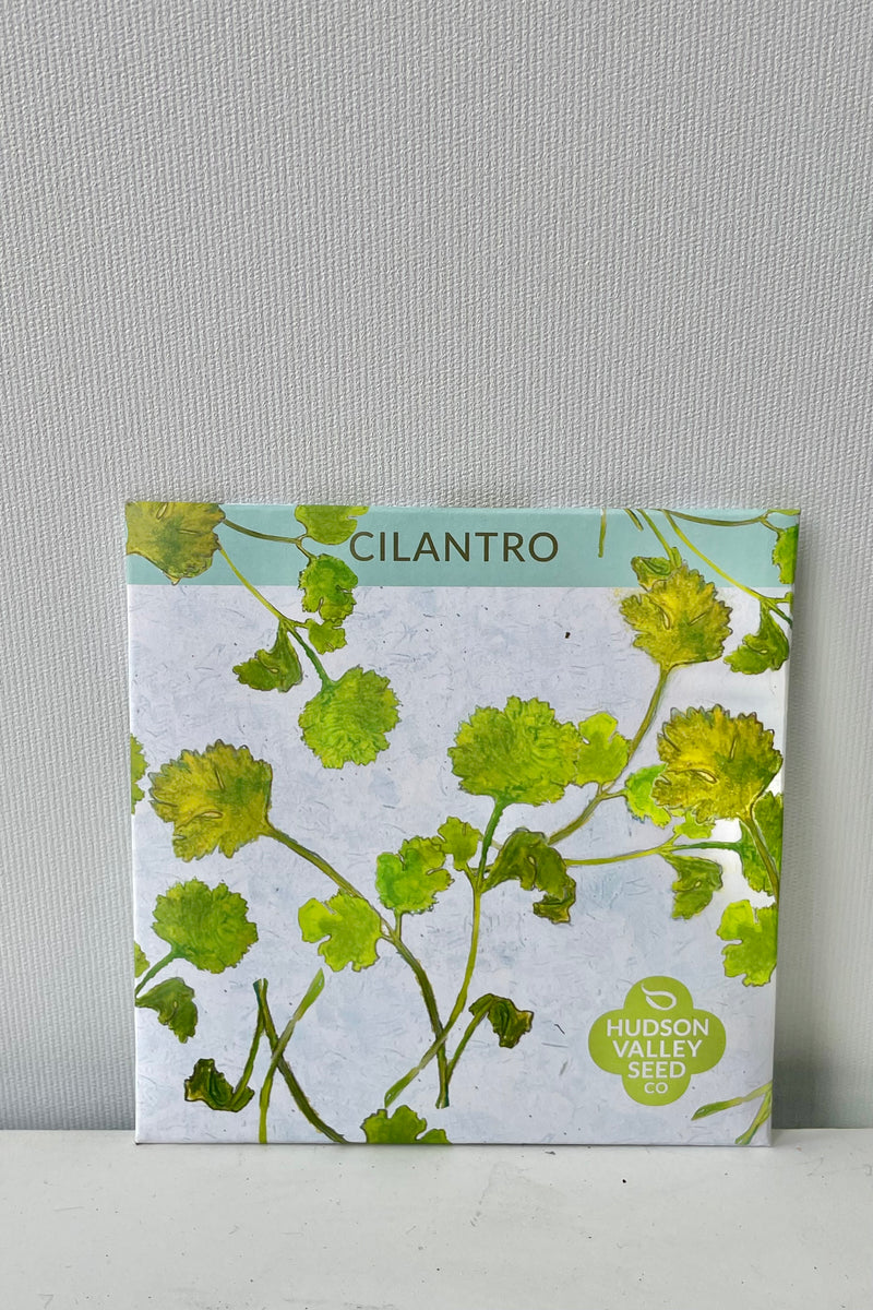 A photo of a square seed packet. The seed packet cover features the text "Cilantro" and a drawing of green cilantro leaves and stems. The photo is against a white wall.