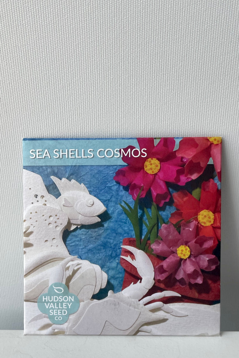 Sea Shells Cosmos Seeds Art Pack