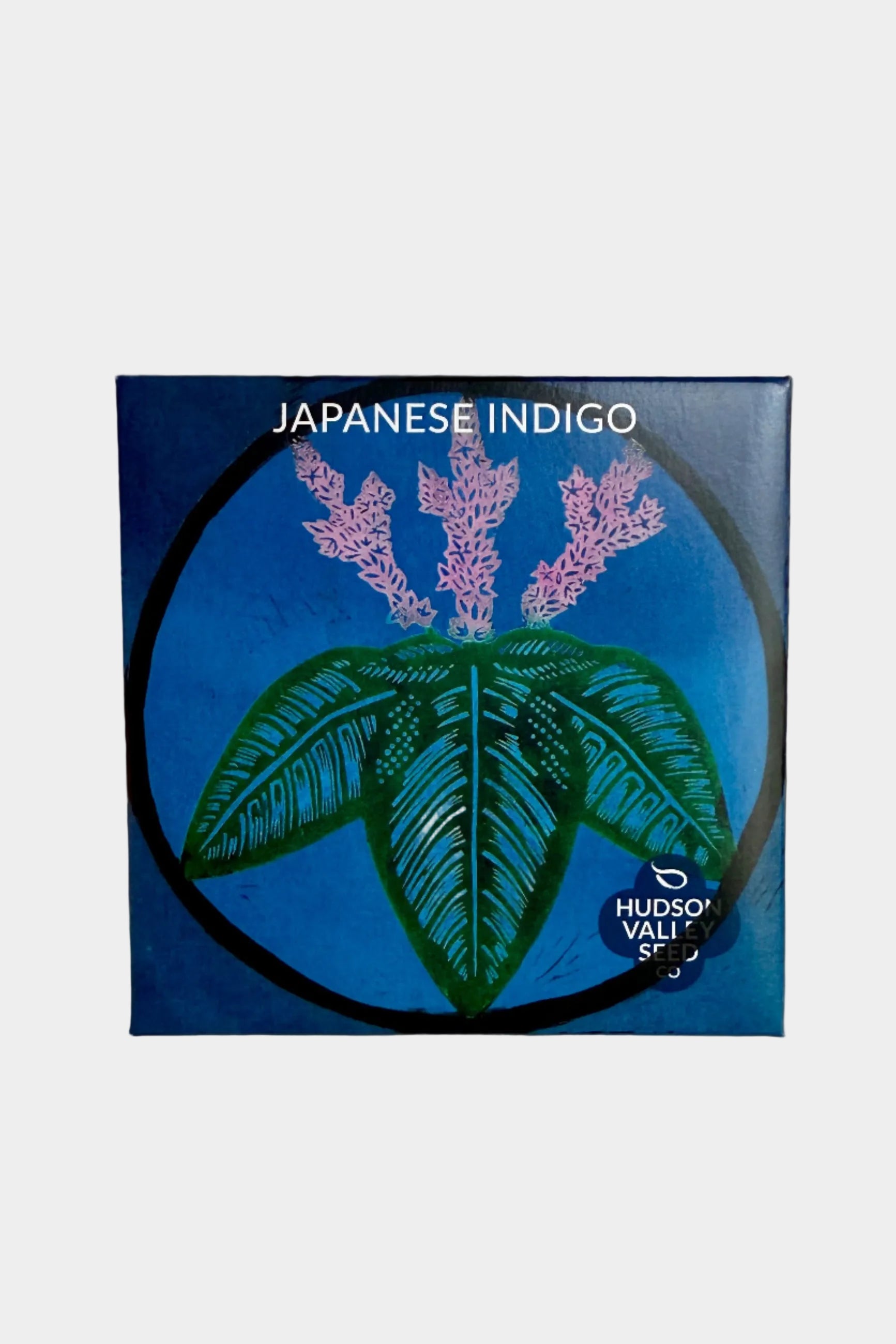 Japanese Indigo Art Pack Seeds at SPROUT HOME