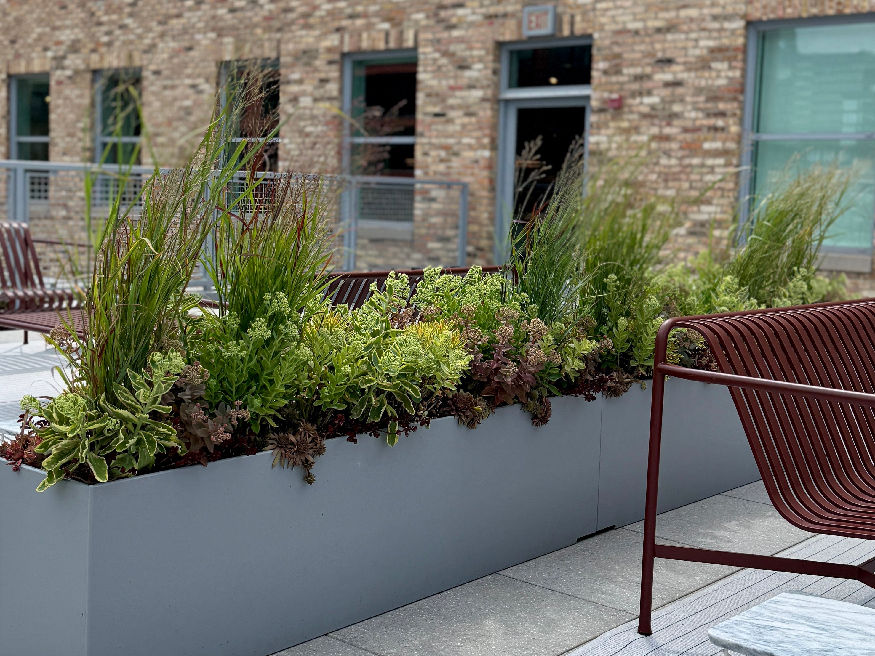 A modern outdoor rooftop terrace at Herman Miller featuring a large rectangular gray planter box filled with green ornamental grasses and foliage designed and planted by Sprout Home, set next to a brown woven metal bench with a brick building in the background ©Sprout Home