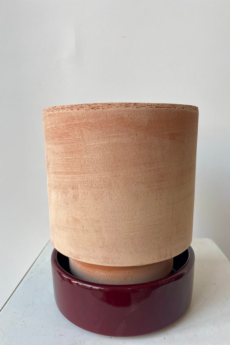 Photo of a Hoff Pot and saucer on a white table in a white room. The pot is rosa clay and sits within a deep burgundy glazed saucer.