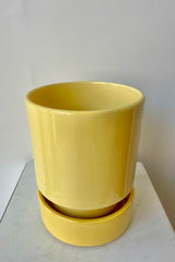 Photo from slightly above of a Hoff Pot and Saucer set. The glaze of the pottery has a slight sheen and is a pale yellow in color. The pot sits within the deep saucer and the pair are photographed on a white surface in a white room.