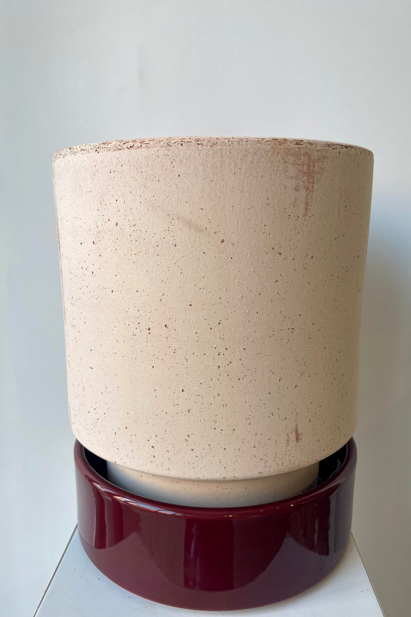 Photo of a Hoff Pot and saucer on a white table in a white room. The pot is rosa clay and sits within a deep burgundy glazed saucer.