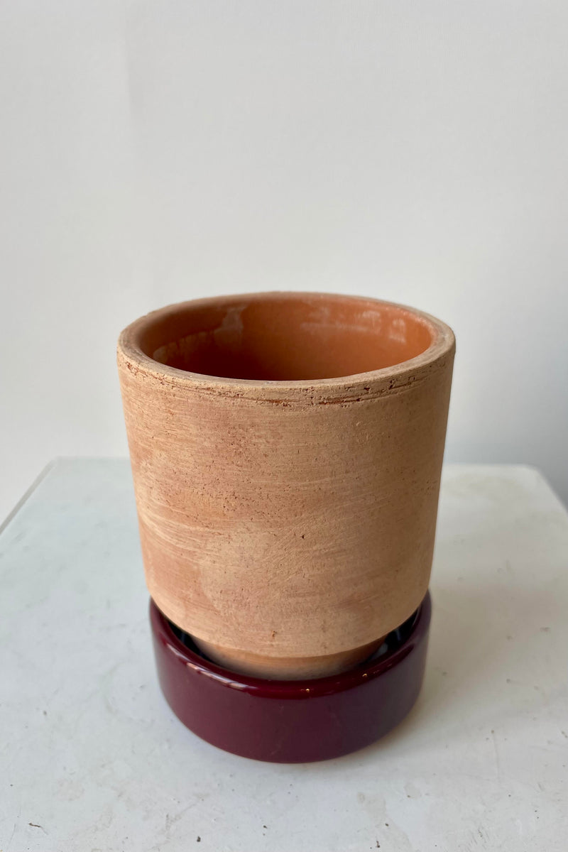 Photo from above of a Hoff Pot and saucer on a white table in a white room. The pot is rosa unglazed clay and sits within a deep burgundy glazed saucer.