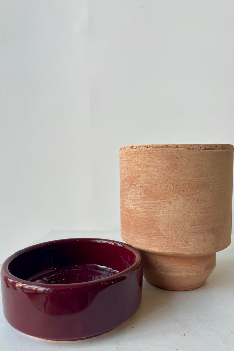 Photo of a Hoff Pot and saucer on a white table in a white room. The pot is rosa unglazed clay and sits next to a deep burgundy glazed saucer.