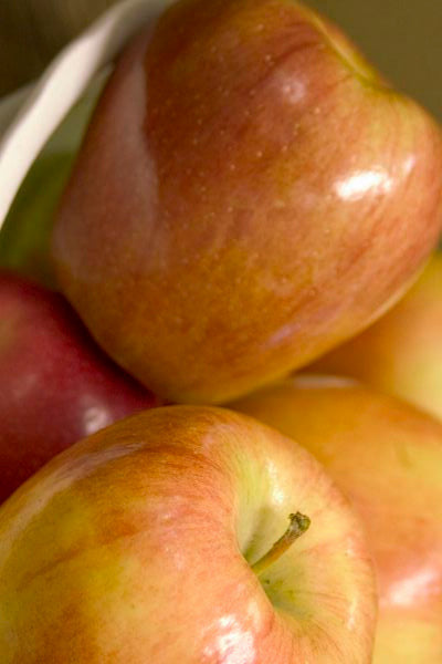 Honeycrisp apples up close ©Bailey Nurseries