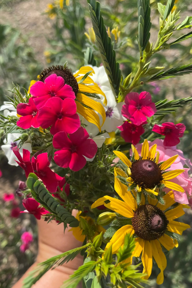 Image of flowers that are contained in Hudson Valley Seeds For the Birds Art Pack.