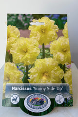 Front of packaging for Narcissus 'Sunny Side Up' with double petaled Narcissus flowers on green stems with   a logo and the text Simple Pleasures