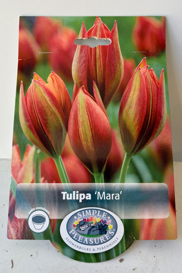 Front of packaging of red Tulip 'Mara' with yellow stripe in the center on green stems and a logo with the text Simple Pleasures. 