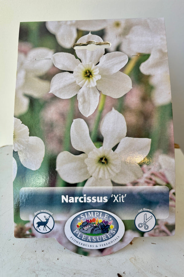 Front of packaging for Narcissus 'Xit' showing white, single petaled flowers with ruffled center on green stems and logo with the text Simple Pleasures 