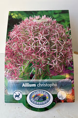 Front of packaging for Allium christophii showing photo of purple allium flower with a logo displaying  words Simple Pleasures. 