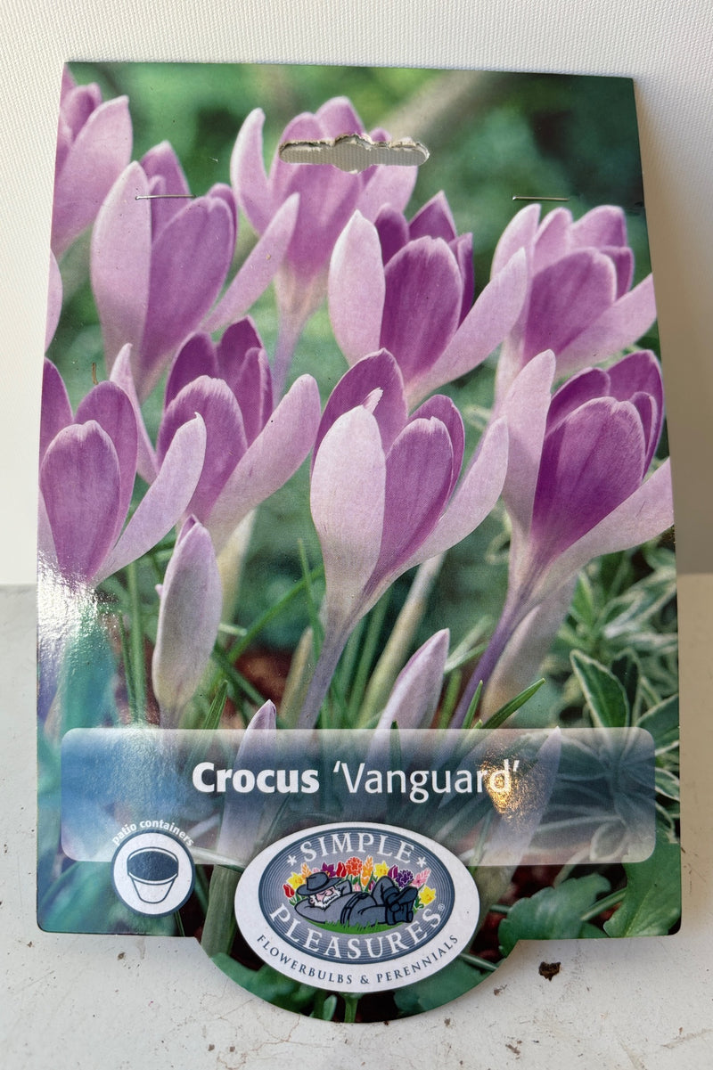 Front of packaging for Crocus 'vanguard' with a photo of small, purple crocus flowers and a logo with the words Simple Pleasures.