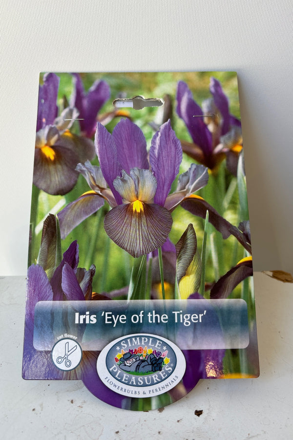 Front of packaging for Iris "Eye of the Tiger' showing a photo of purple flowers with slender green stems and the a logo with the text Simple Pleasures.