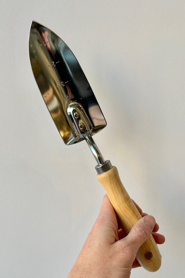 Hand trowel etched with markings in one inch increments with wooden handle against white background