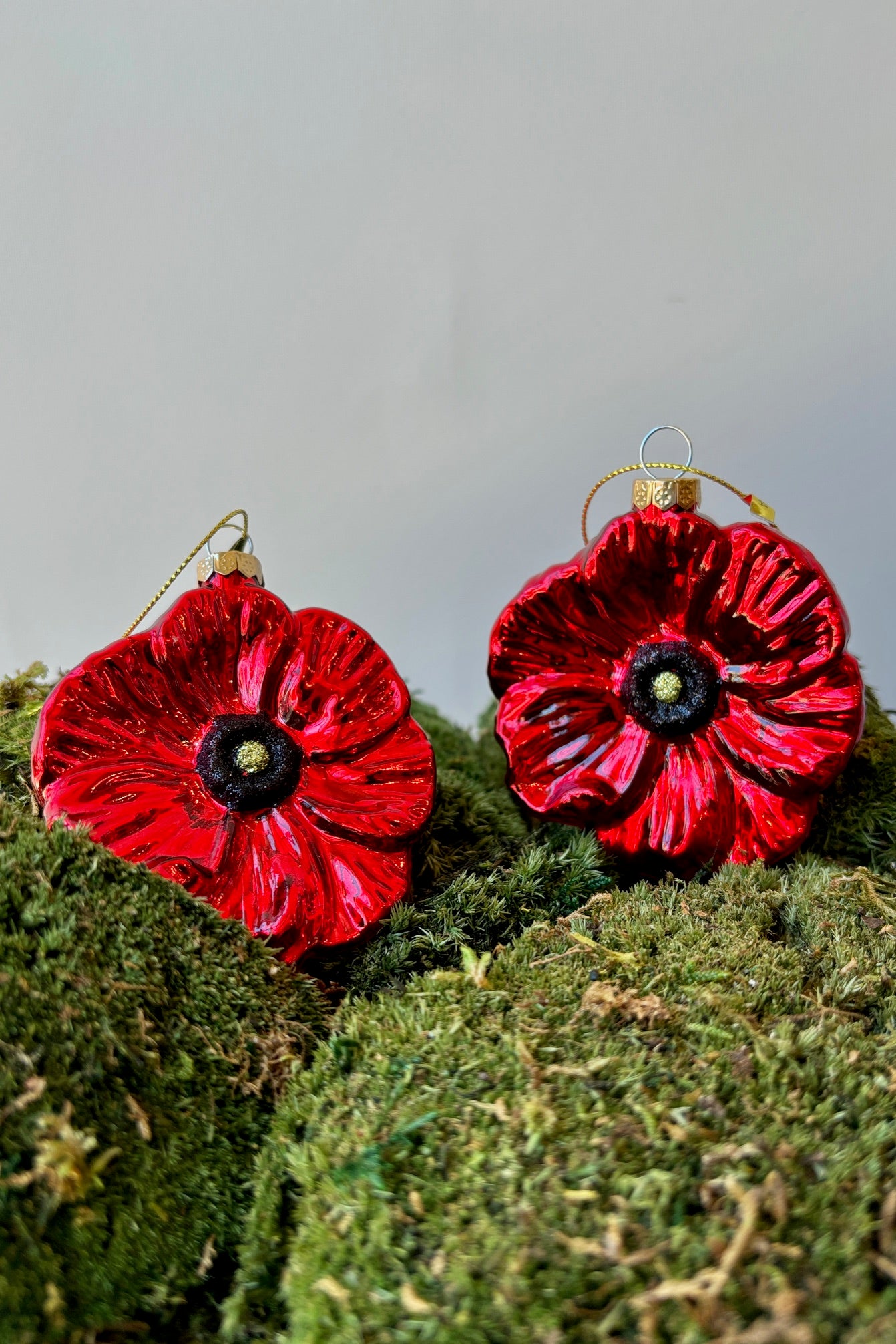 Glossy, bright red poppy ornaments with a black and yellow center displayed on a mound of moss against a white wall.  ©Sprout Home
