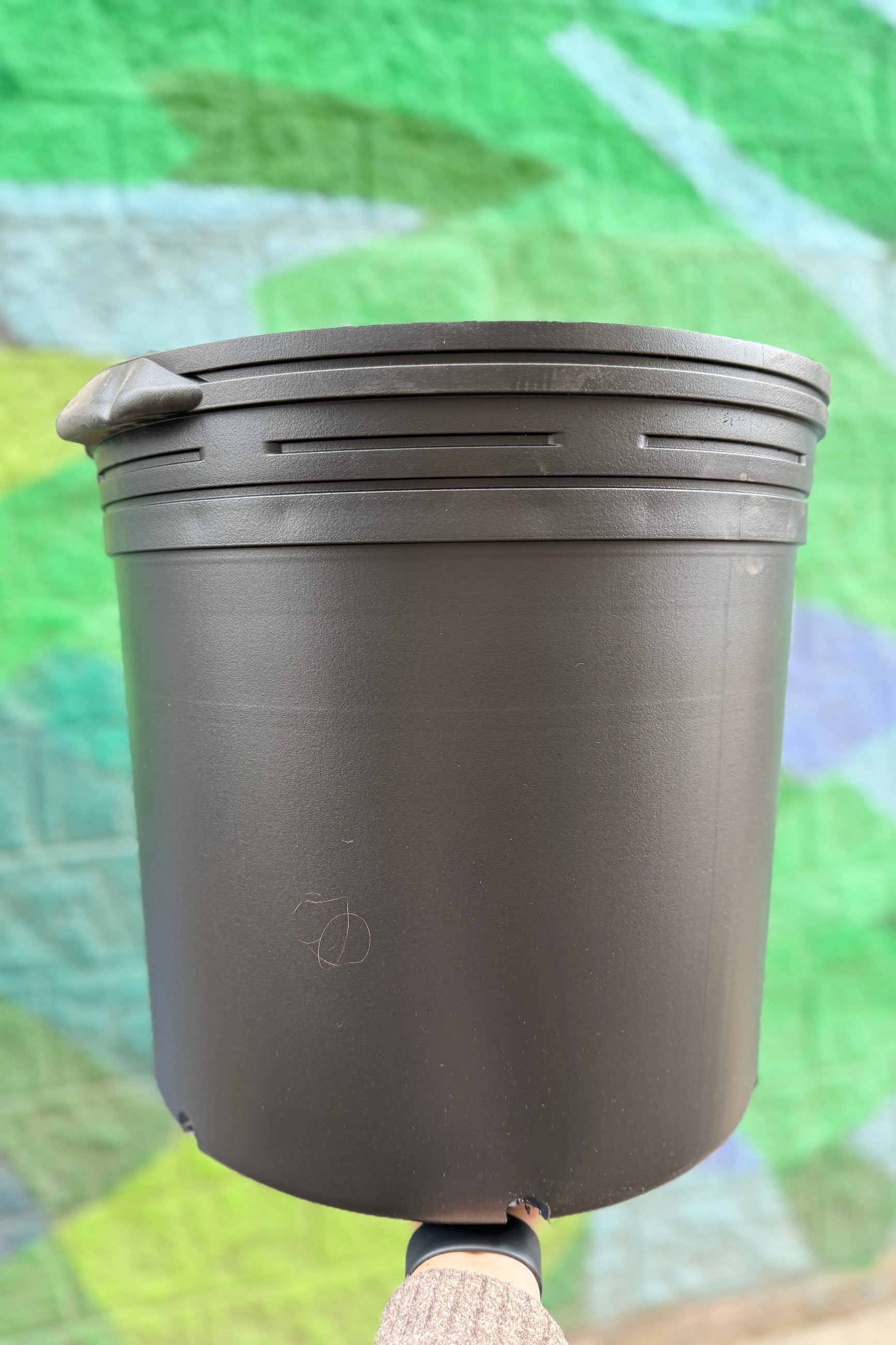 Black plastic growers pot on a green and brown background ©Sprout Home