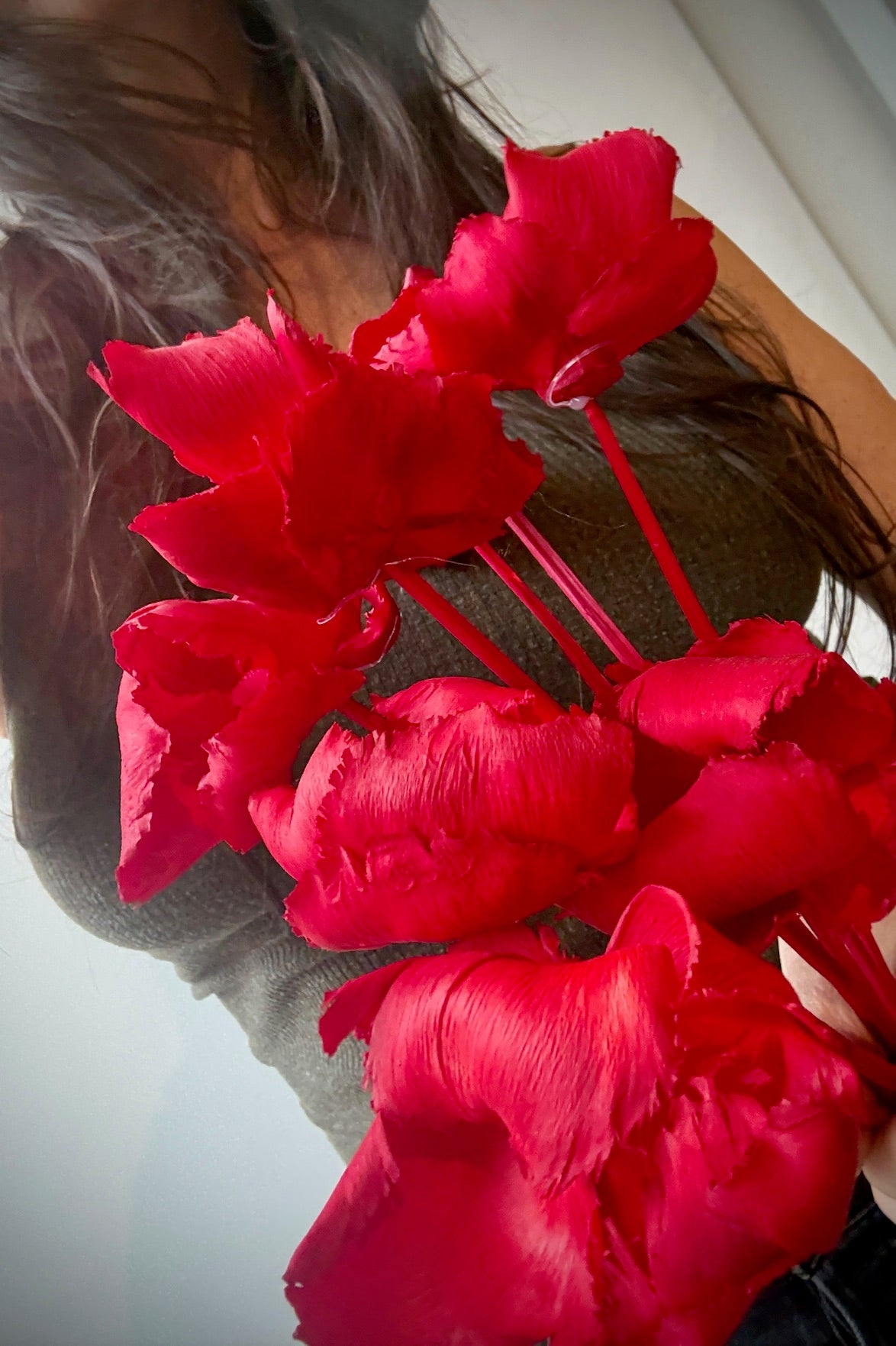 Red preserved palm cap flowers held by a person with a blurred background ©Sprout Home