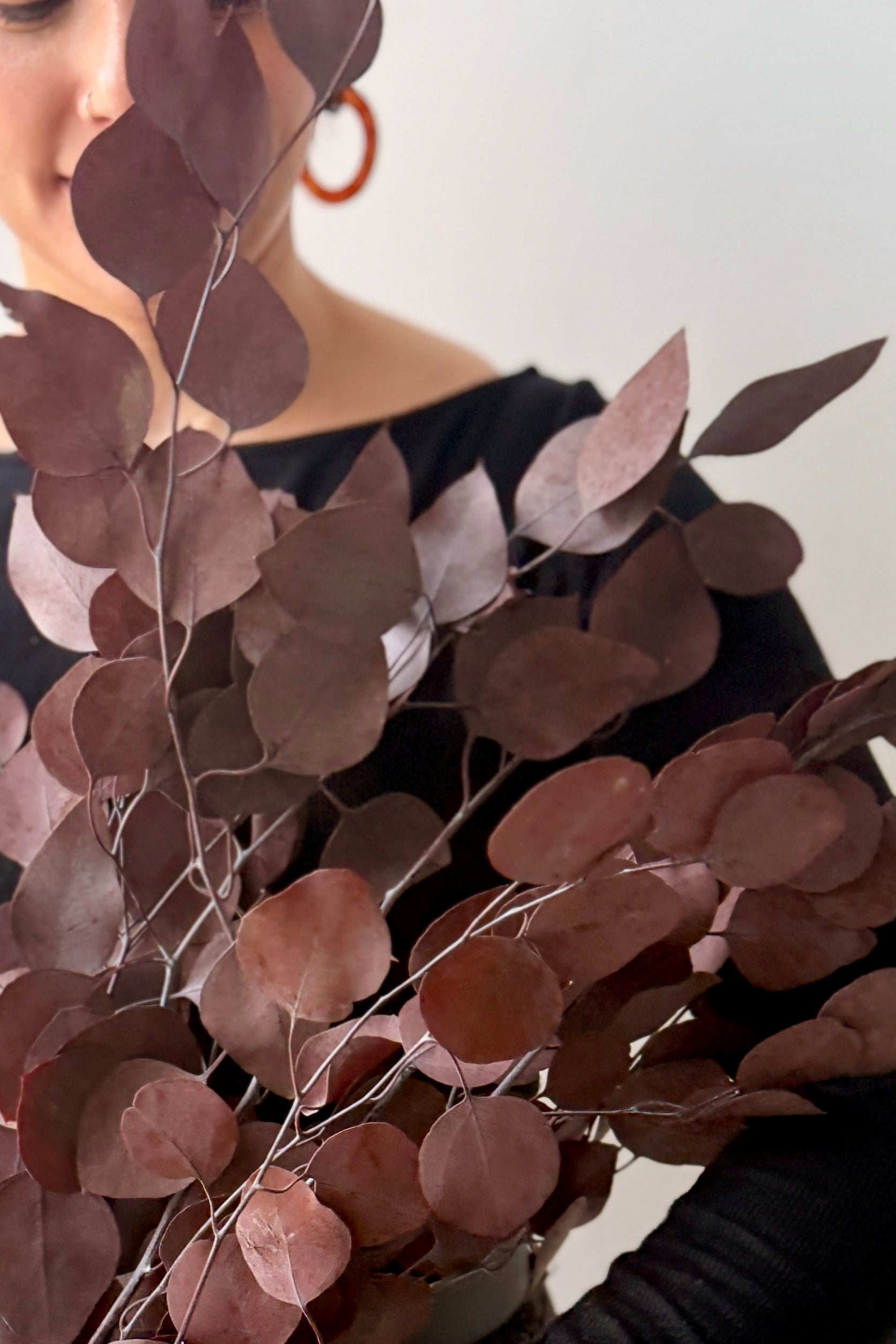 Person holding a bunch of Eucalyptus that has been preserved and dyed burgundy against a neutral background ©Sprout Home