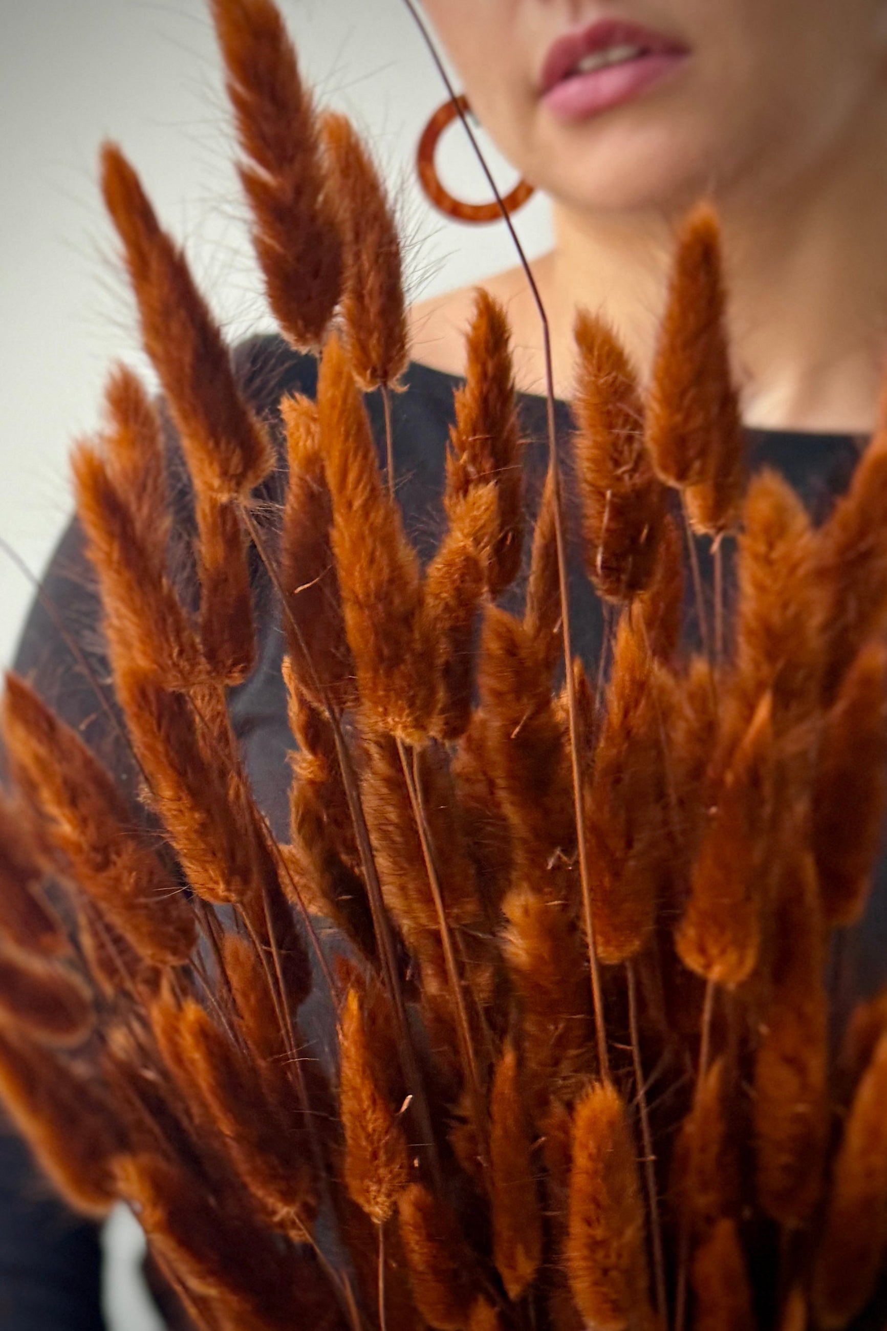 Close-up of dried preserved warm brown bunny tail lagururs grasses with a blurred background ©Sprout Home