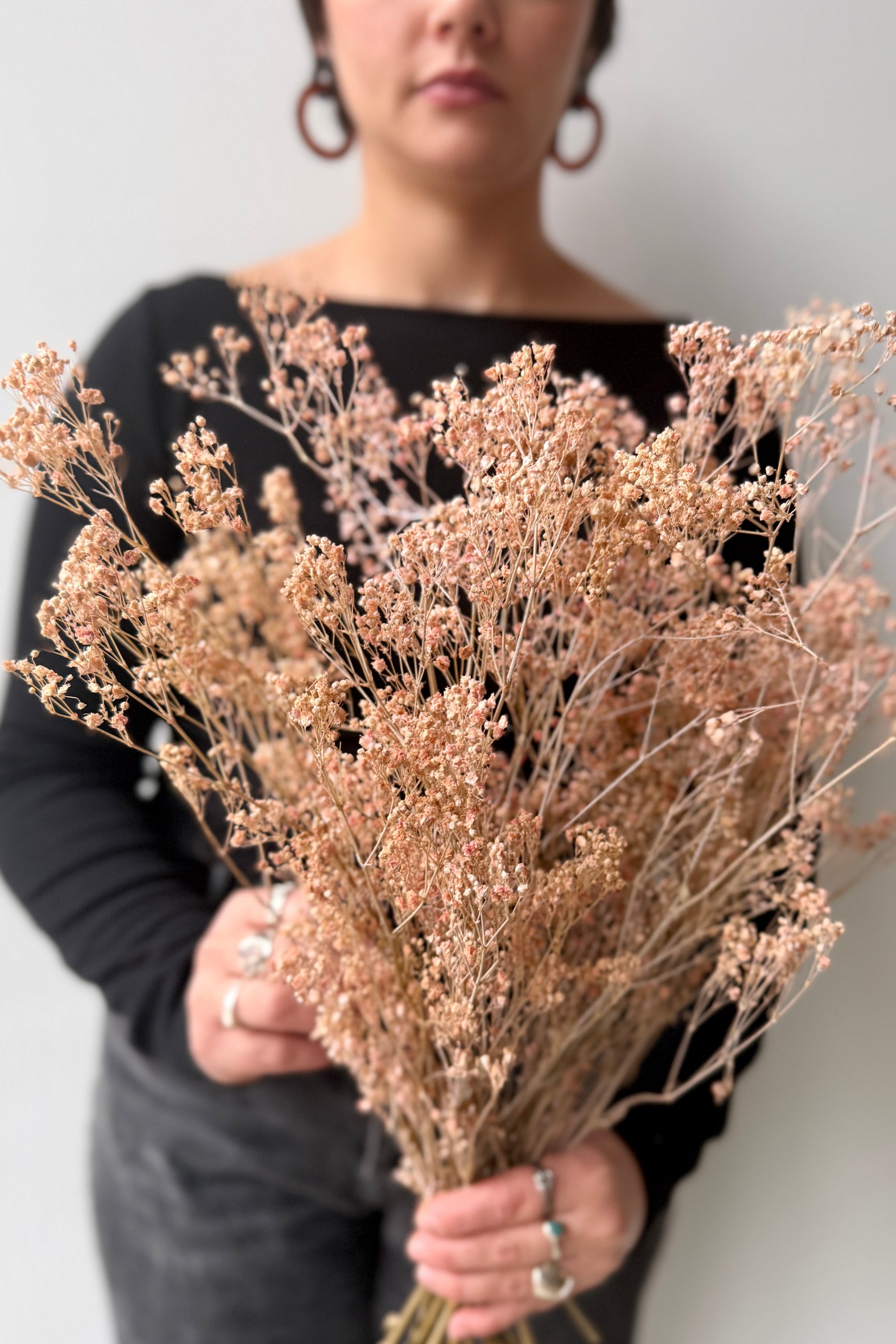Person holding a bouquet of dried and preserved Gypsophila paniculate flowers dyed a dusty pink color against a neutral background ©Sprout Home
