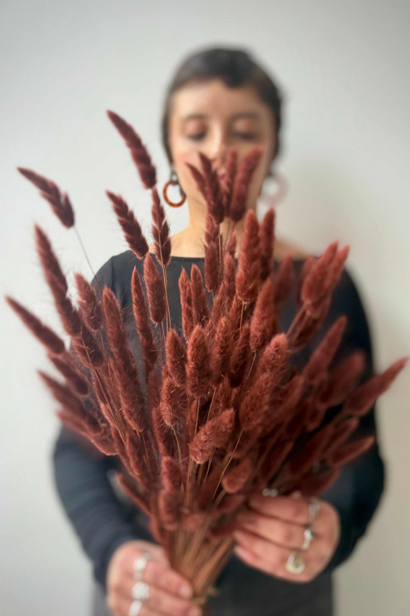 Person holding a bundle of dried and preserved mauve dyed bunny tail grass plumes against a plain background ©Sprout Home