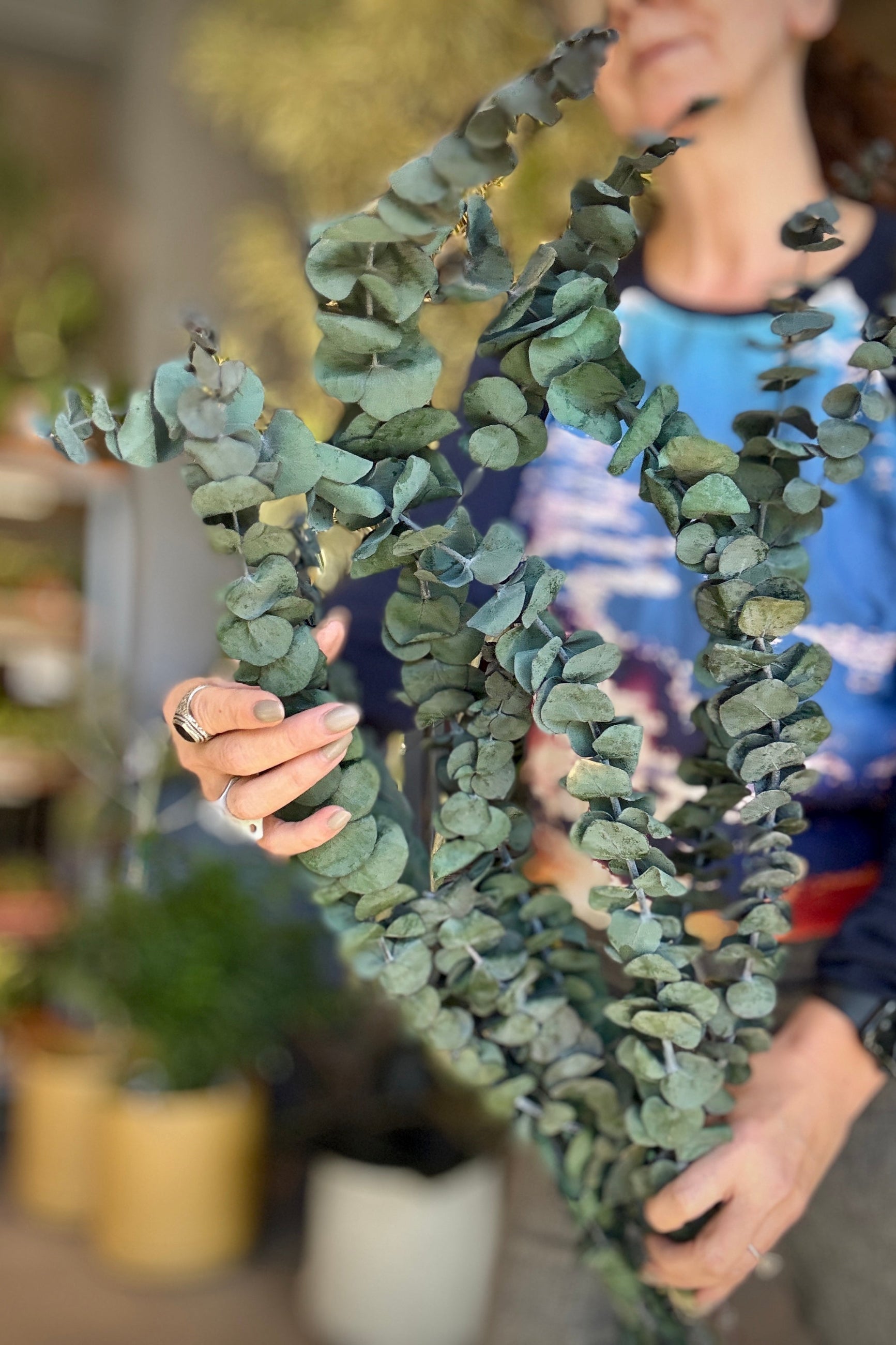 Person holding a bunch of preserved and dyed vintage green eucalyptus plant with a blurred indoor setting ©Sprout Home