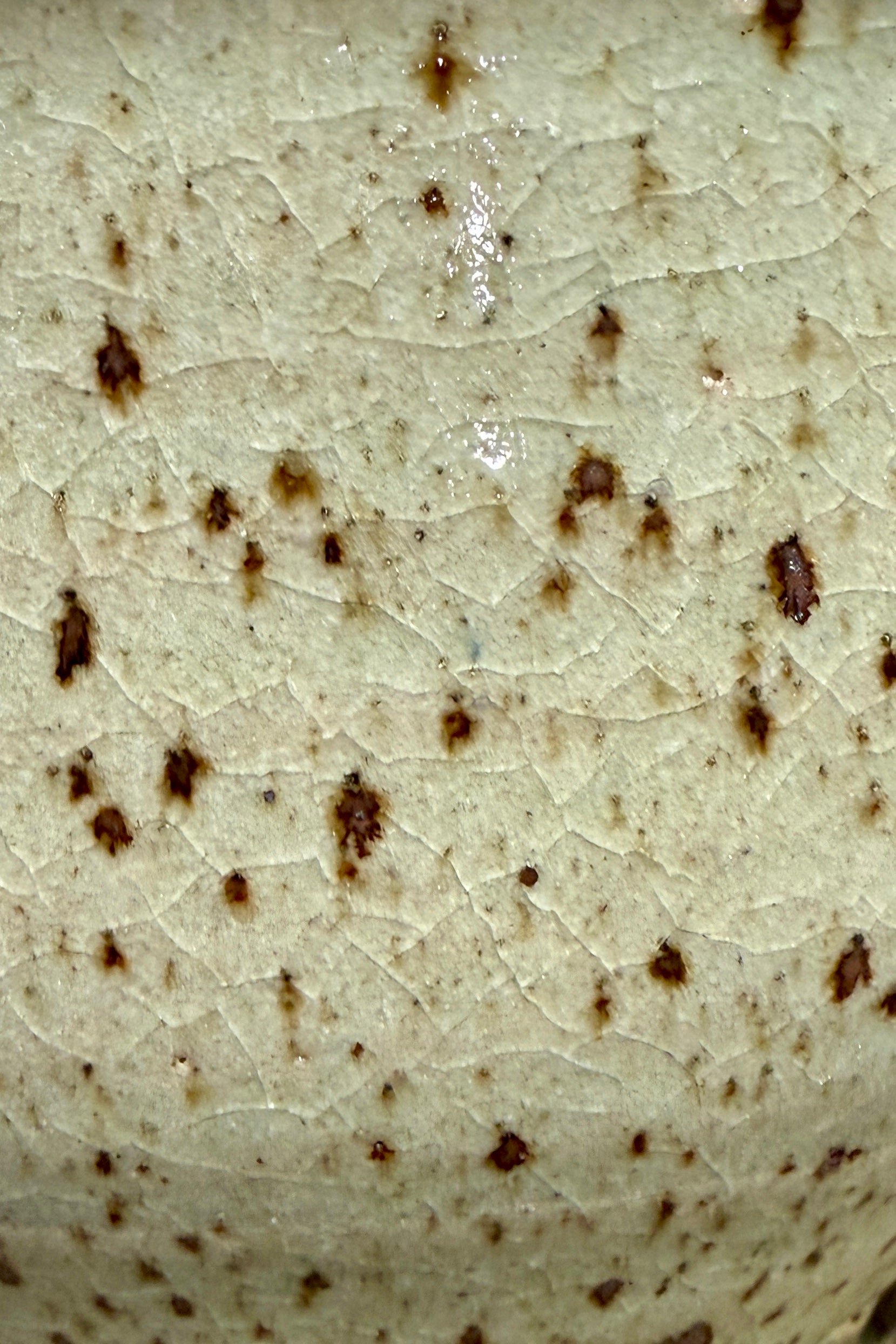 Close-up of a Celadon with brown spots Glazed ceramic from Bruning Pottery ©Sprout Home