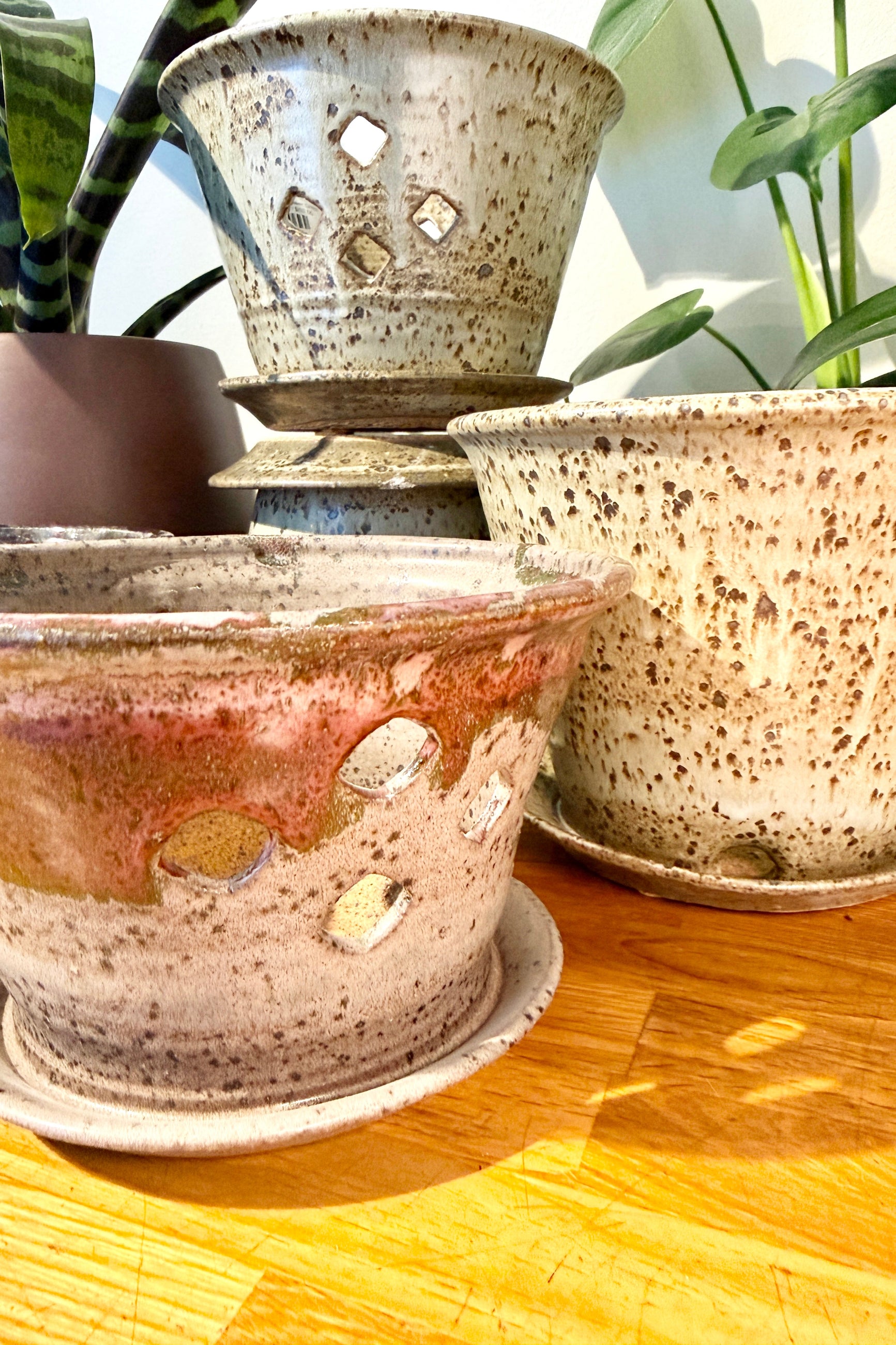 Set of Bruning Pottery ceramic orchid plant pots with textured surfaces on a wooden surface ©Sprout Home