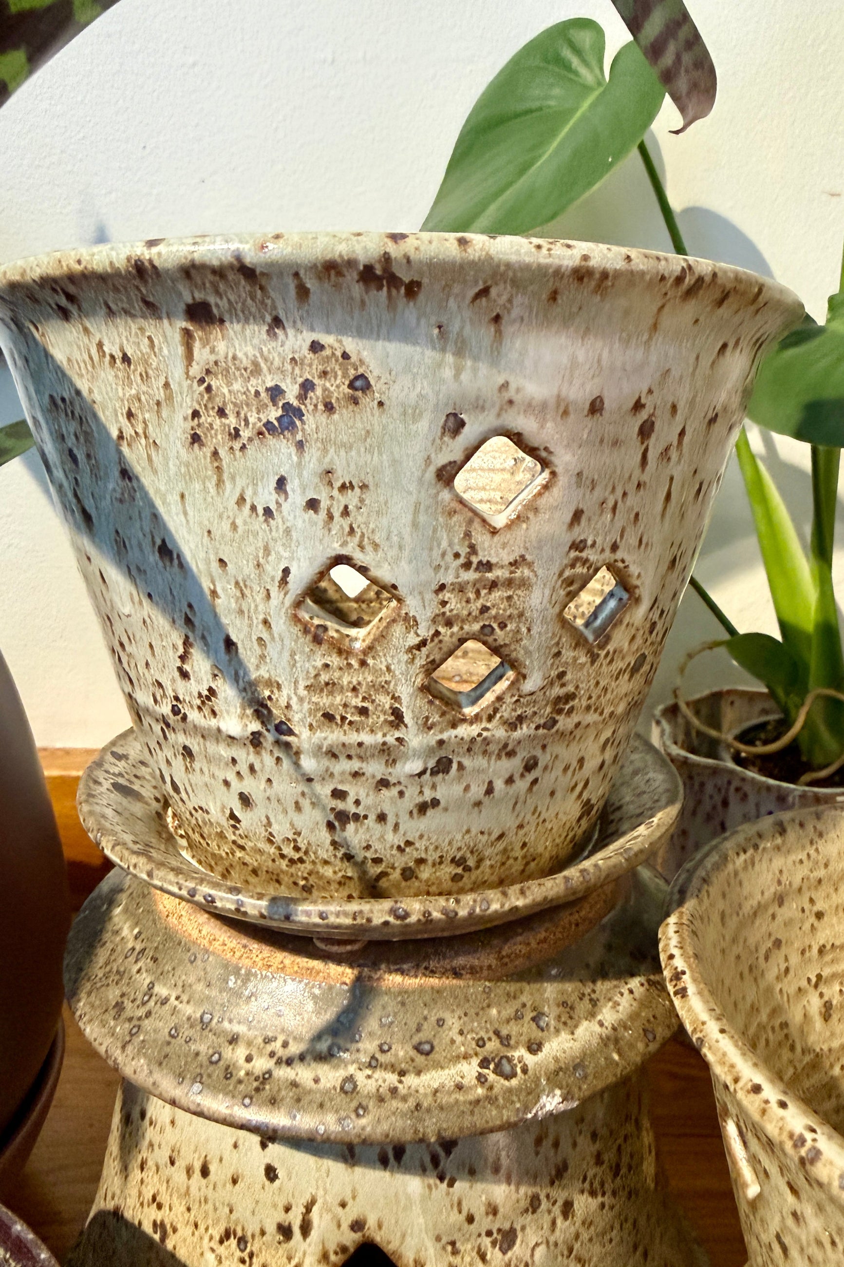 Set of Bruning Pottery ceramic orchid plant pots with textured surfaces on a wooden surface ©Sprout Home