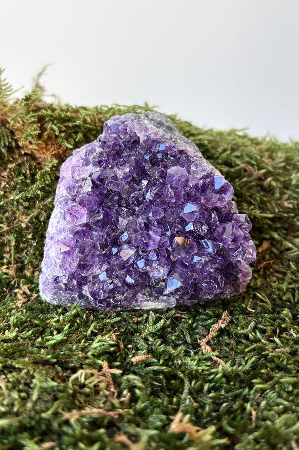 Purple Amethyst chunk on a bed of preserved moss against a white background.