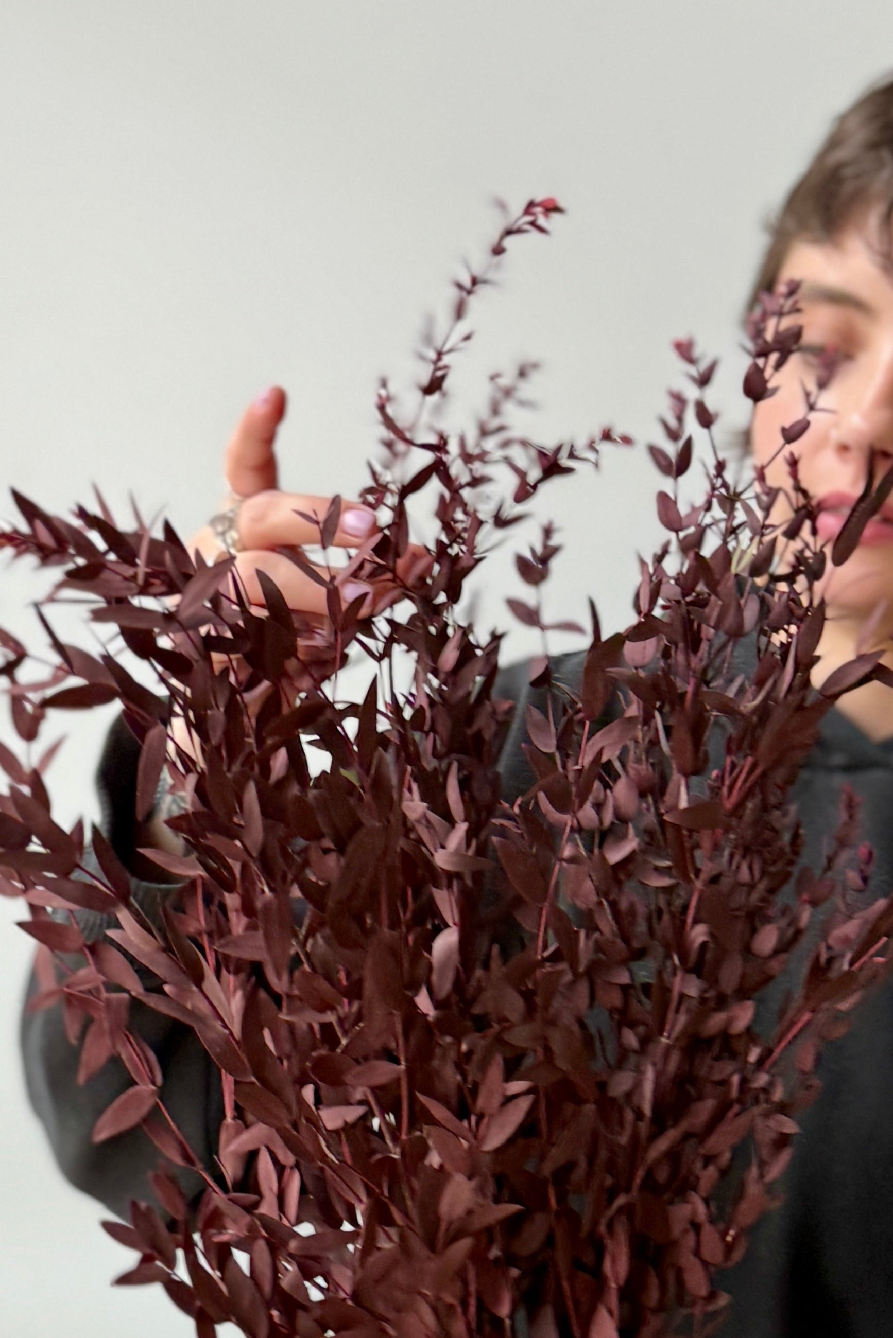 Person holding a bouquet of dried red leaves against a neutral background ©Sprout Home